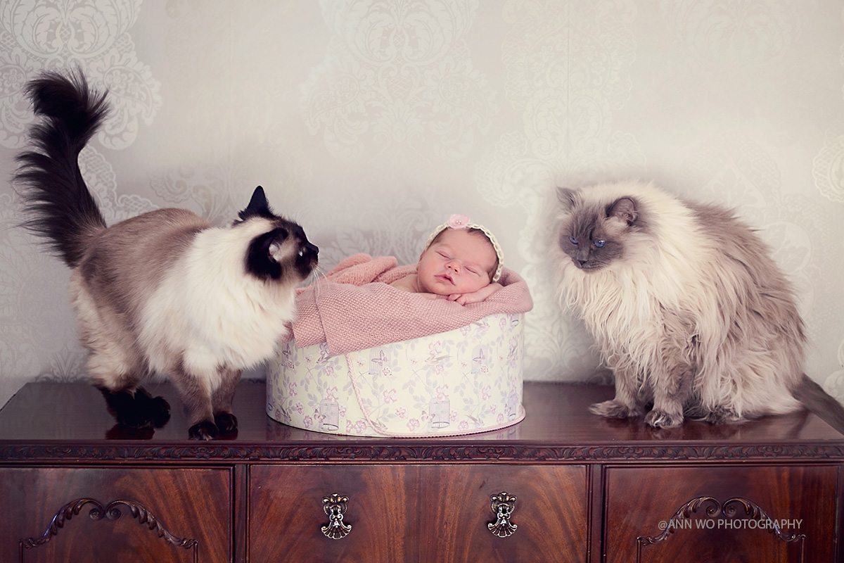 Newborn photography session- baby girl – Ruislip